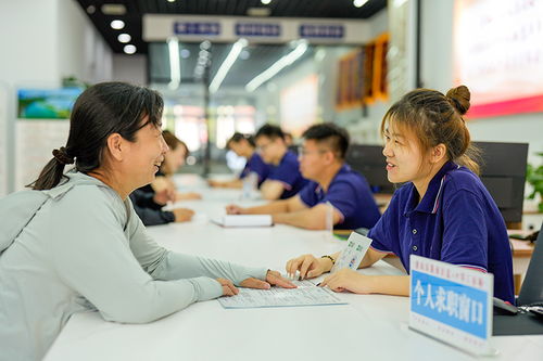 唐山零工市場 激活靈活就業新引擎，職業中介服務賦能勞動力市場